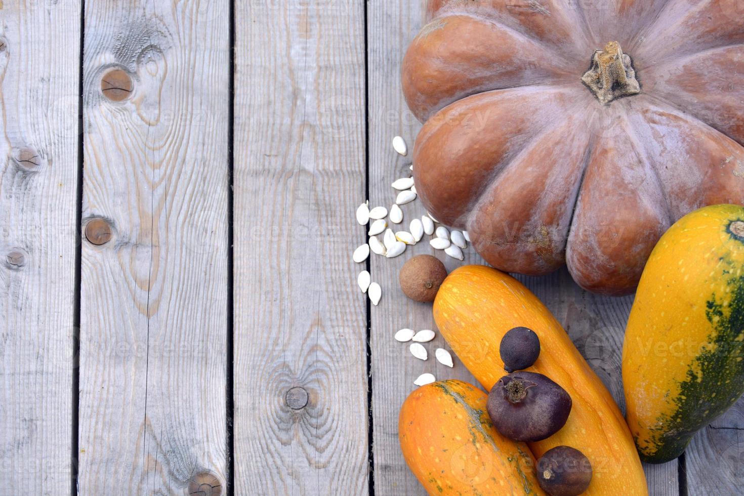 zucche con zucchine e semi di zucca su uno sfondo di legno. sfondo naturale con zucche per halloween. foto