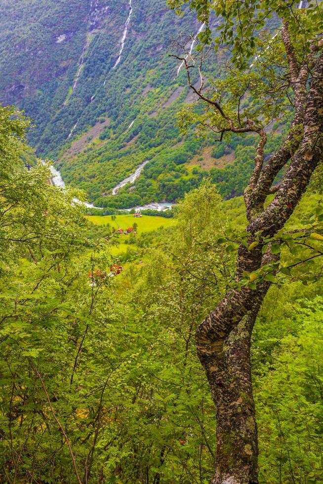 paesaggio agricolo del fiume utla dall'alto utladalen norvegia paesaggi norvegesi. foto