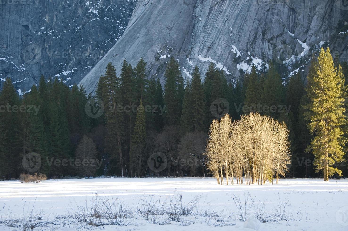 ahwanee prato, parco nazionale di Yosemite foto