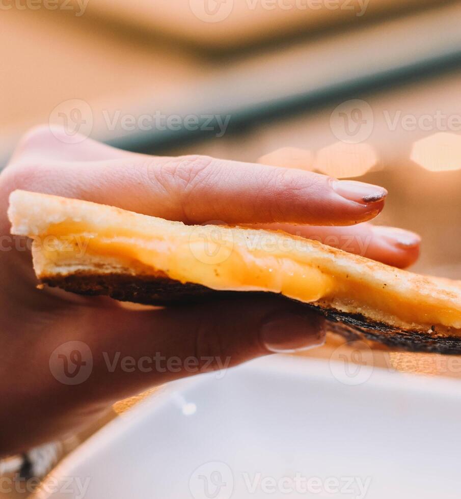 caldo prosciutto e formaggio Sandwich, tostato con burro su pane foto