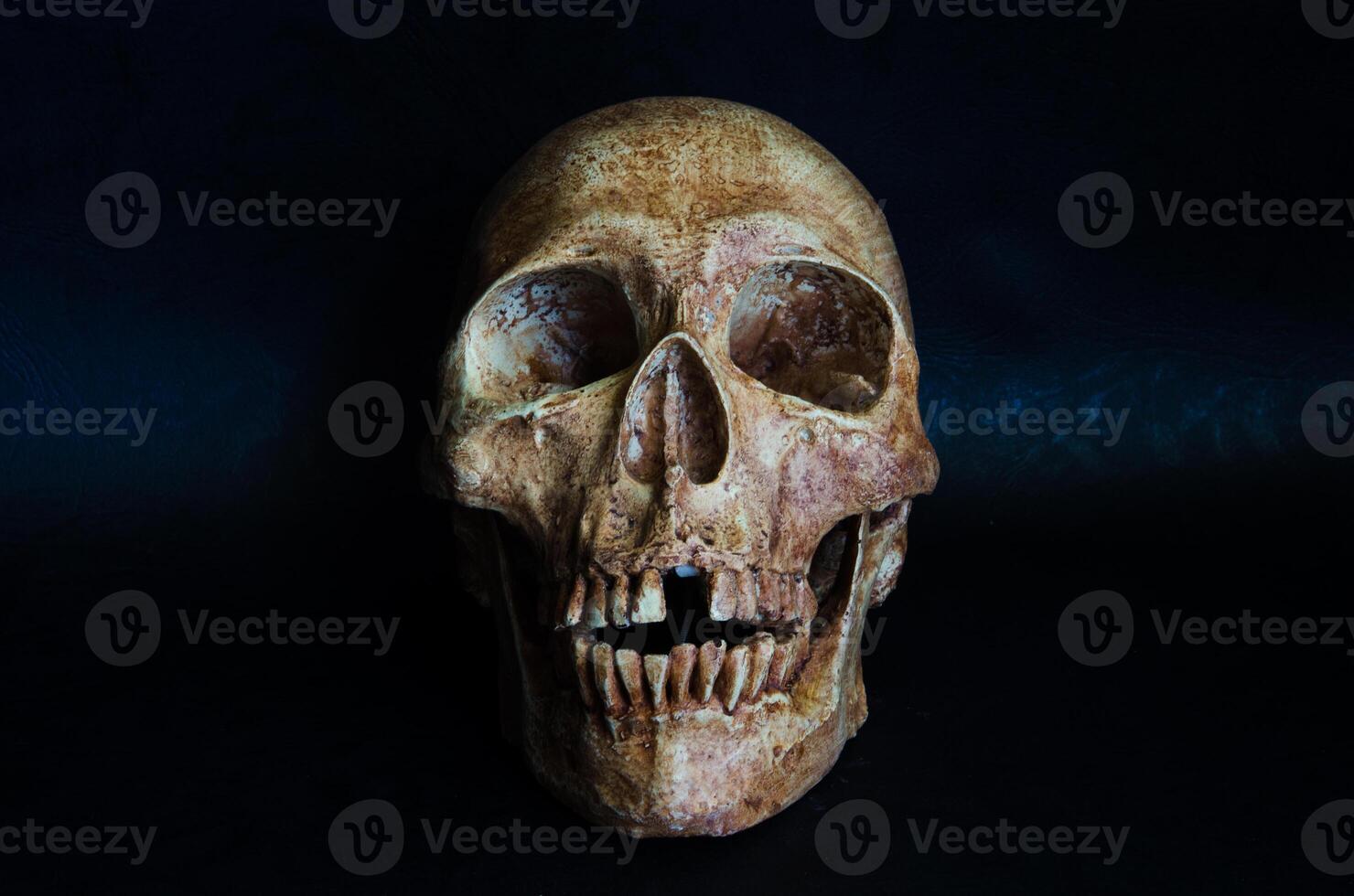 ancora vita il umano cranio su nero sfondo foto