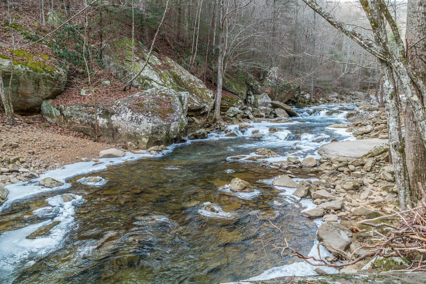 a valle ricco torrente nel giorno, Tennessee foto