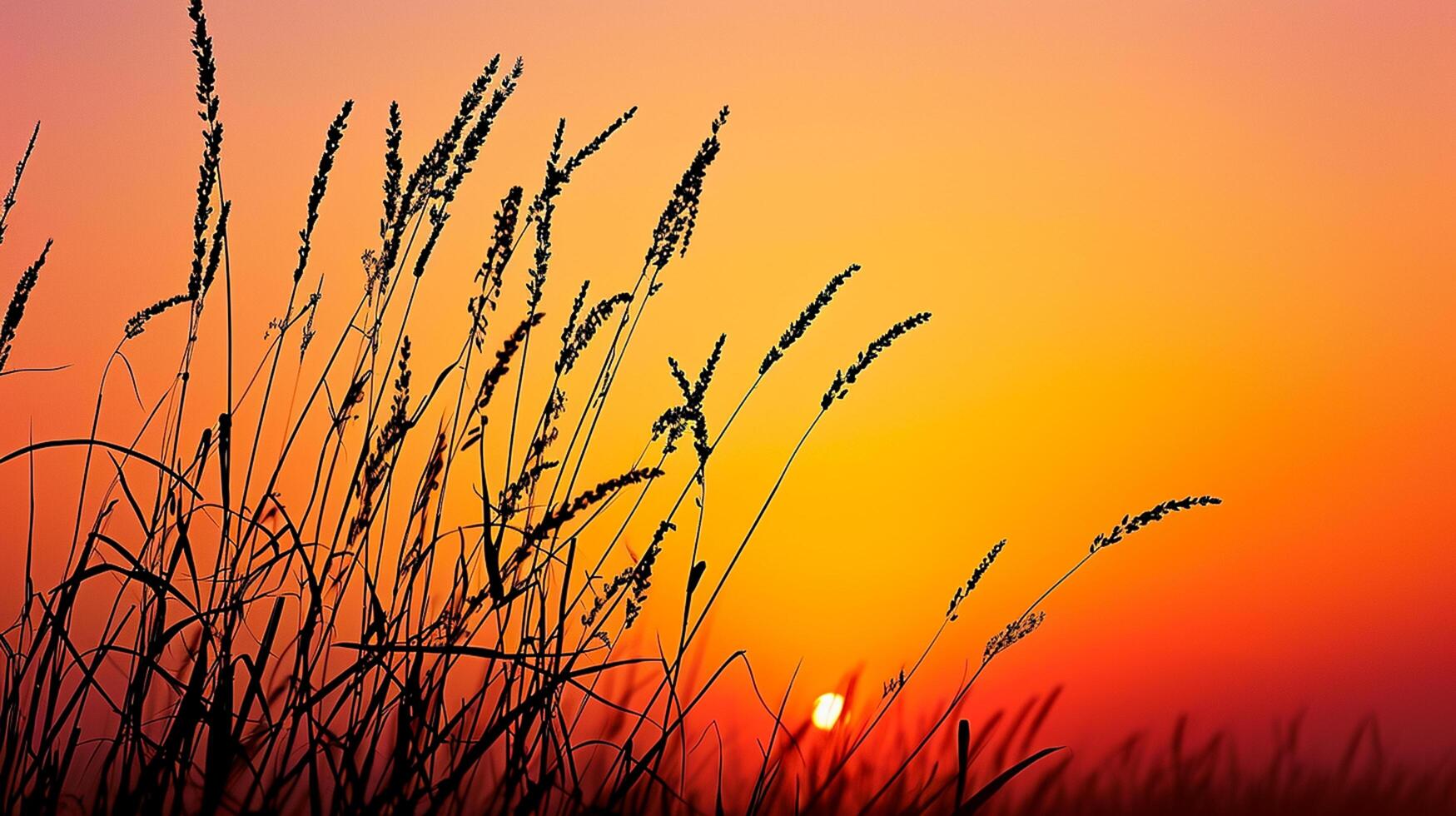 ai generato foto di staglia selvaggio erba contro vivace tramonto. il cielo in profondità arancia vicino il orizzonte per accendino colore come esso ascende, indicando il sole ambientazione ai generato