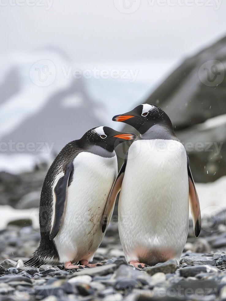 ai generato Due pinguini in piedi vicino per ogni altro su un' roccioso superficie ai generato foto