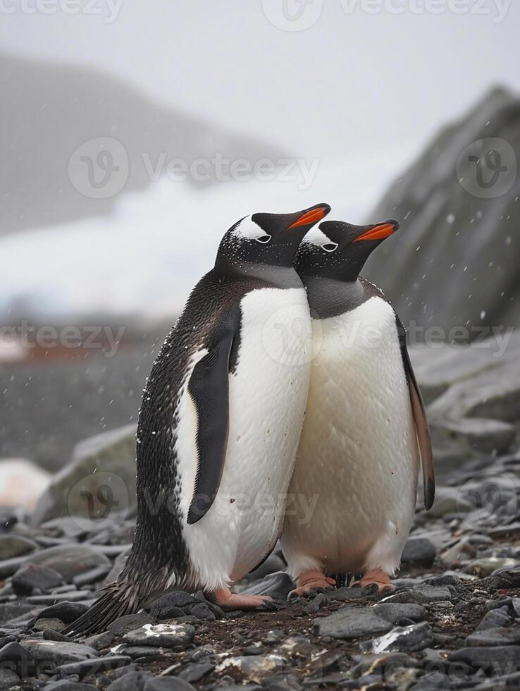 ai generato Due pinguini in piedi vicino per ogni altro su un' roccioso superficie ai generato foto