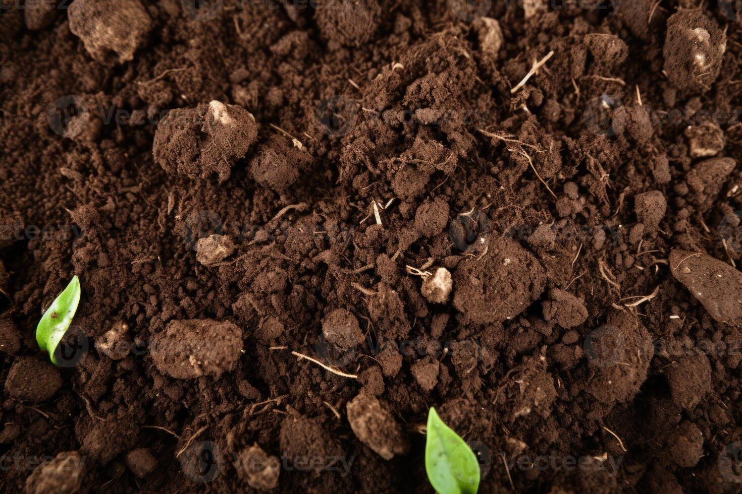 ai generato giardinaggio stagione con strutturato fertile suolo. foto