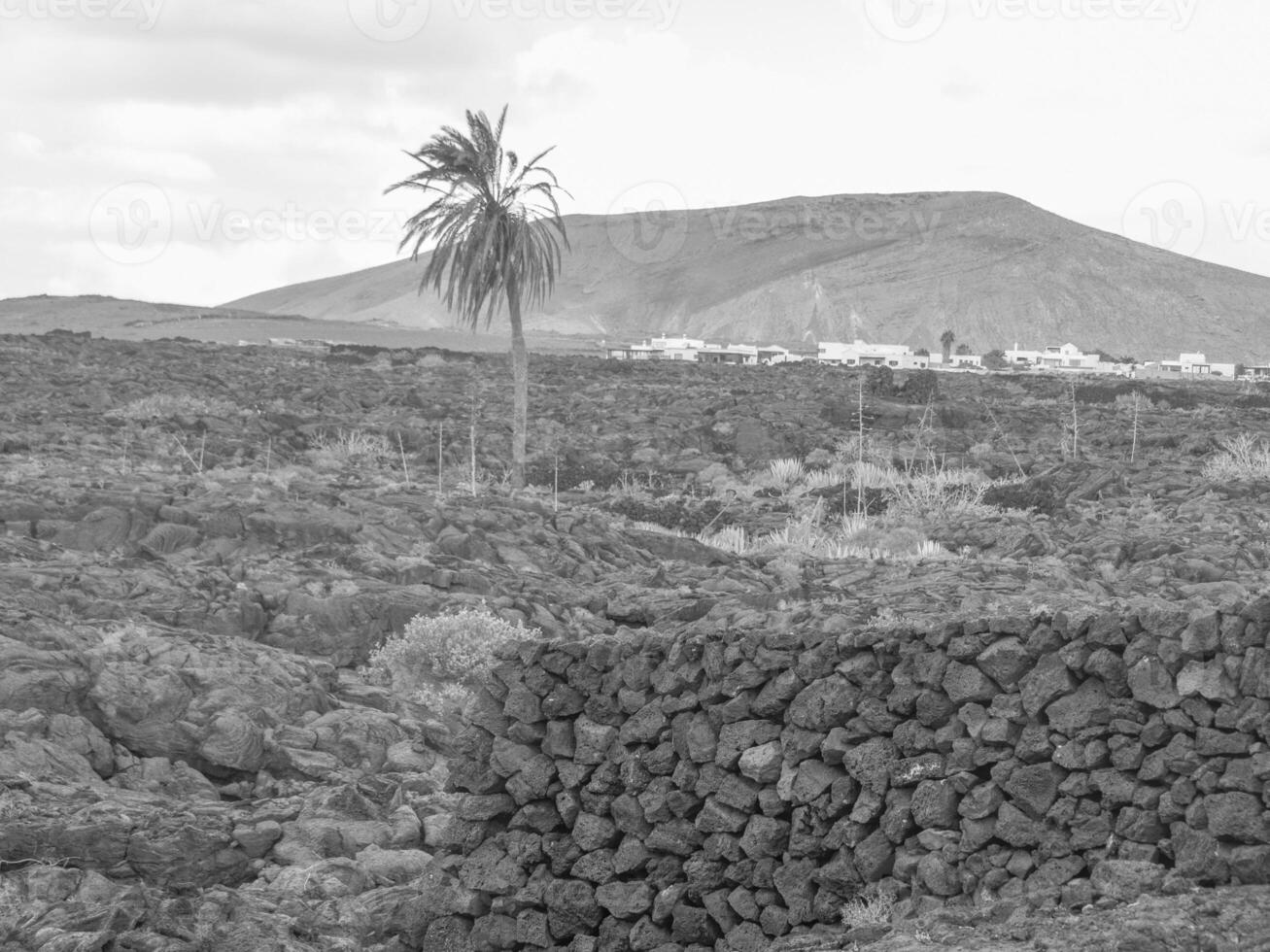 isola di lanzarote in spagna foto