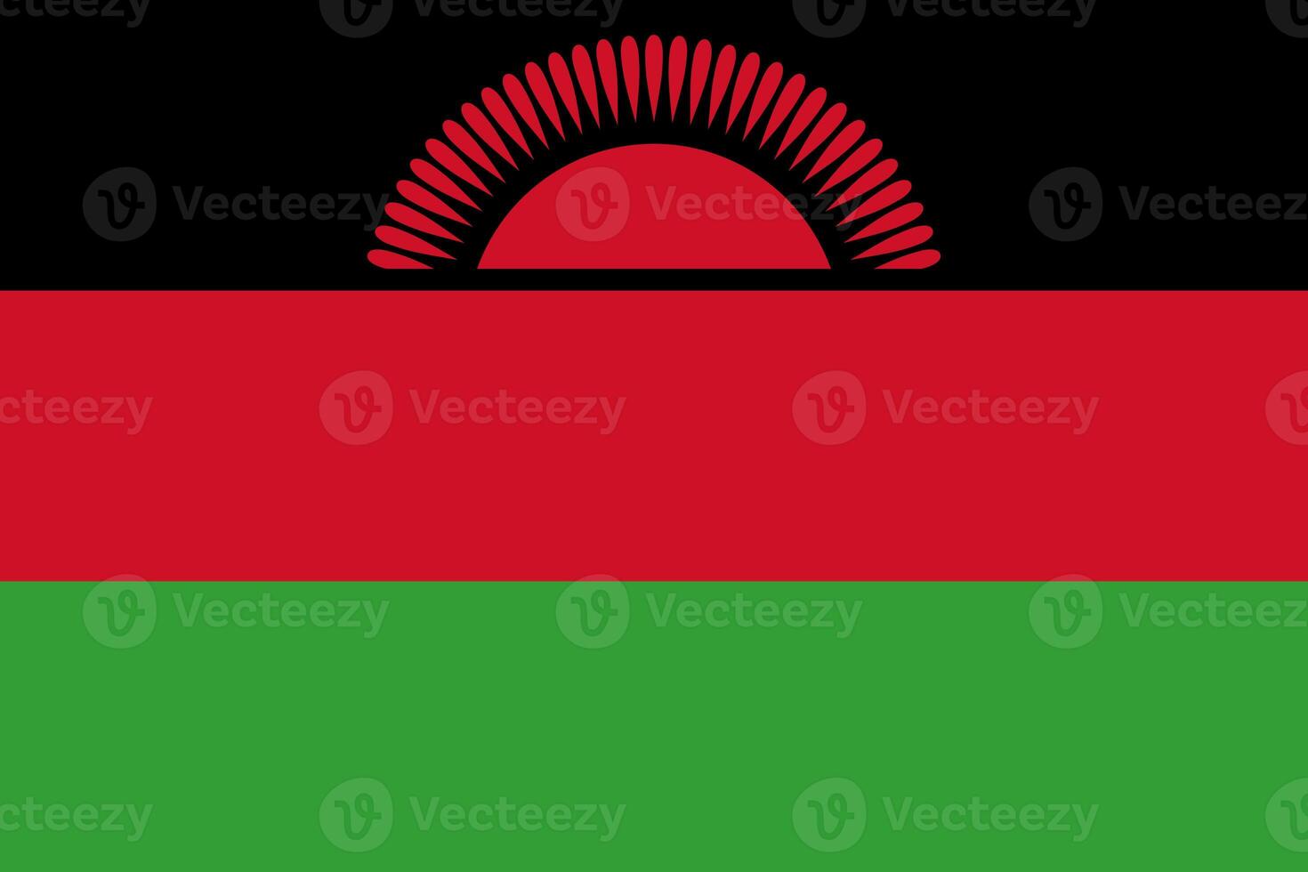 il ufficiale attuale bandiera di repubblica di Malawi. stato bandiera di Malawi. illustrazione. foto