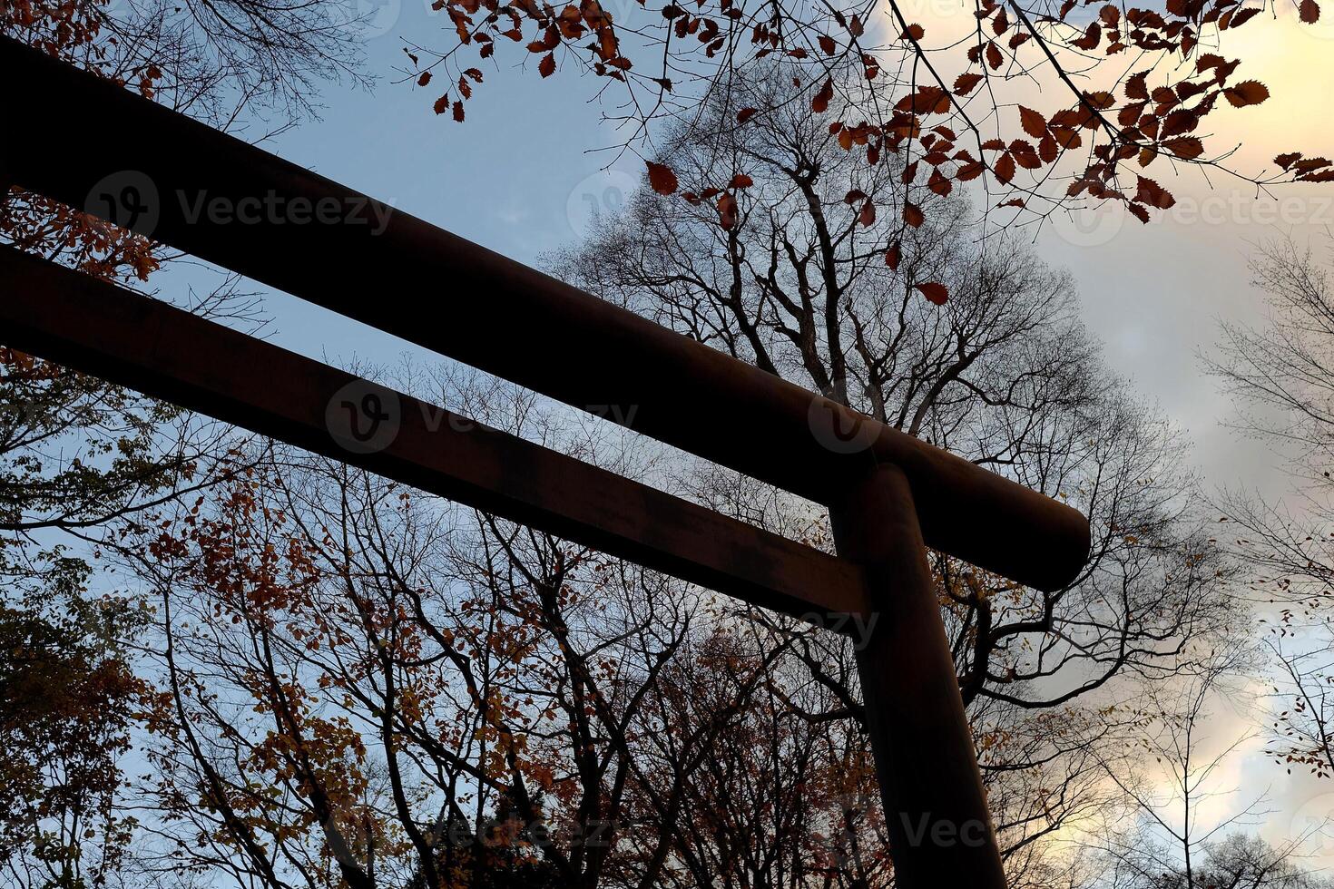 parte inferiore Visualizza di torii nel nuvoloso giorno. torii è tradizionale cancello di shinto santuario nel Giappone. foto