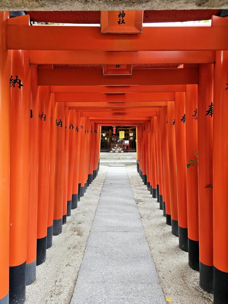 fukuoka, Giappone novembre 13, 2023 rosso torii cancelli a kushida jinja santuario dove è un' shinto santuario collocato nel hakata-ku, fukuoka, Giappone, era fondato nel nel 757. foto