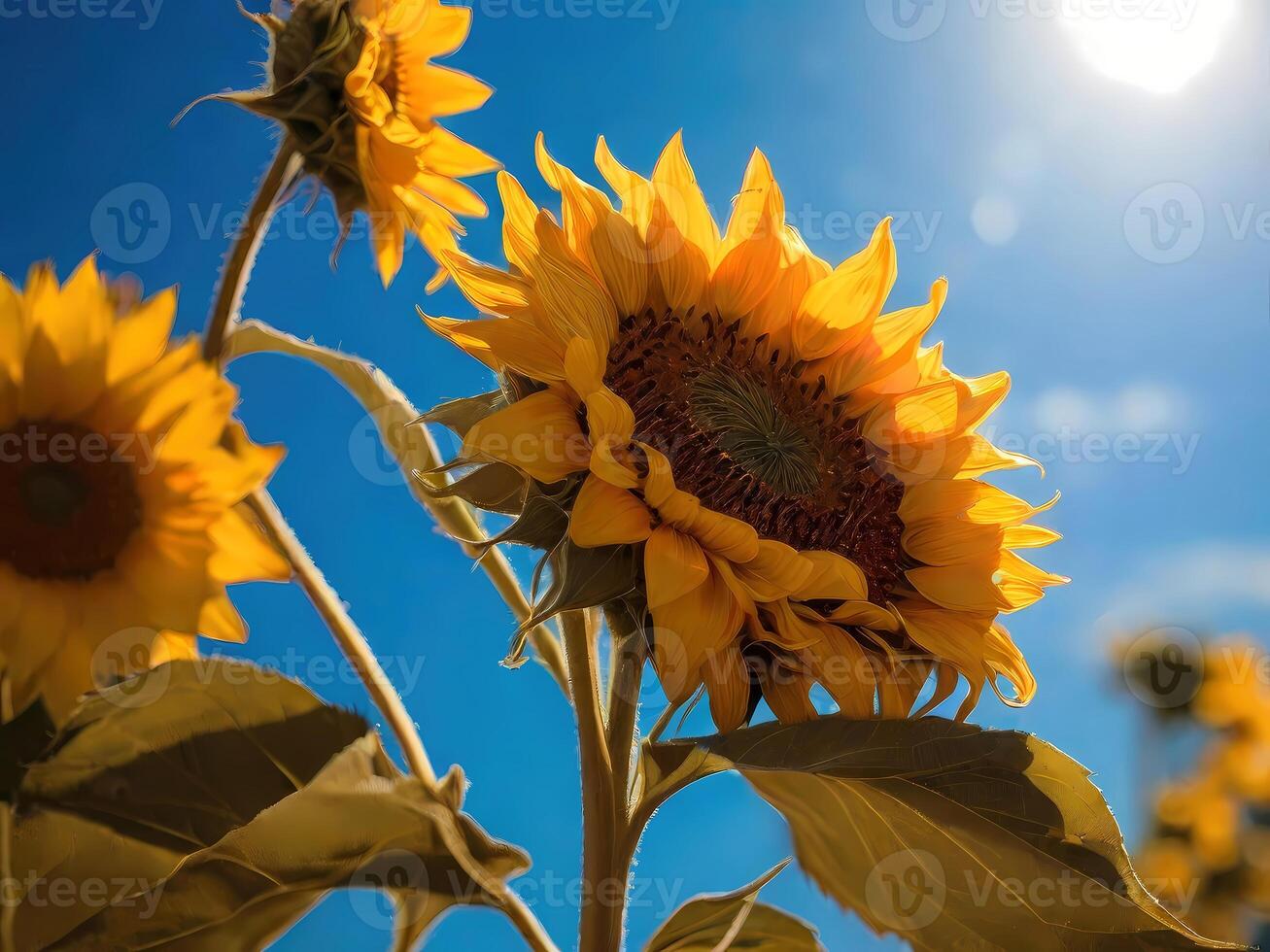 ai generato girasole bagnata nel luce del sole contro un' blu cielo tela foto