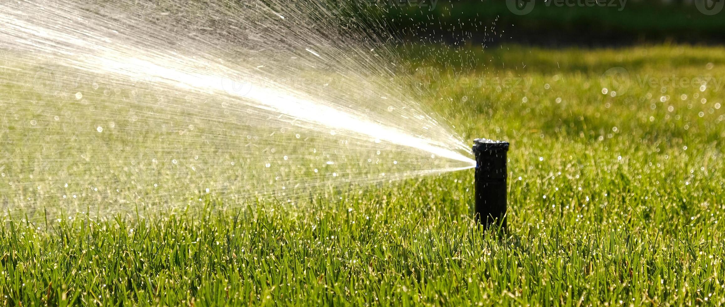 automatico giardino irrigazione sistema irrigazione prato con regolabile testa. automatico attrezzatura per irrigazione e Manutenzione di prati, giardinaggio. foto