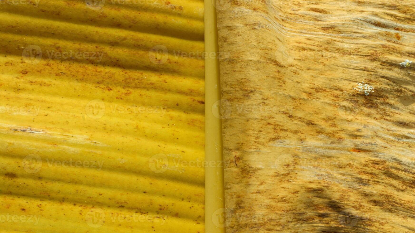 il colore differenza fra giallo e asciutto Banana le foglie. vicino su foto di il struttura di giallo e asciutto Banana le foglie.