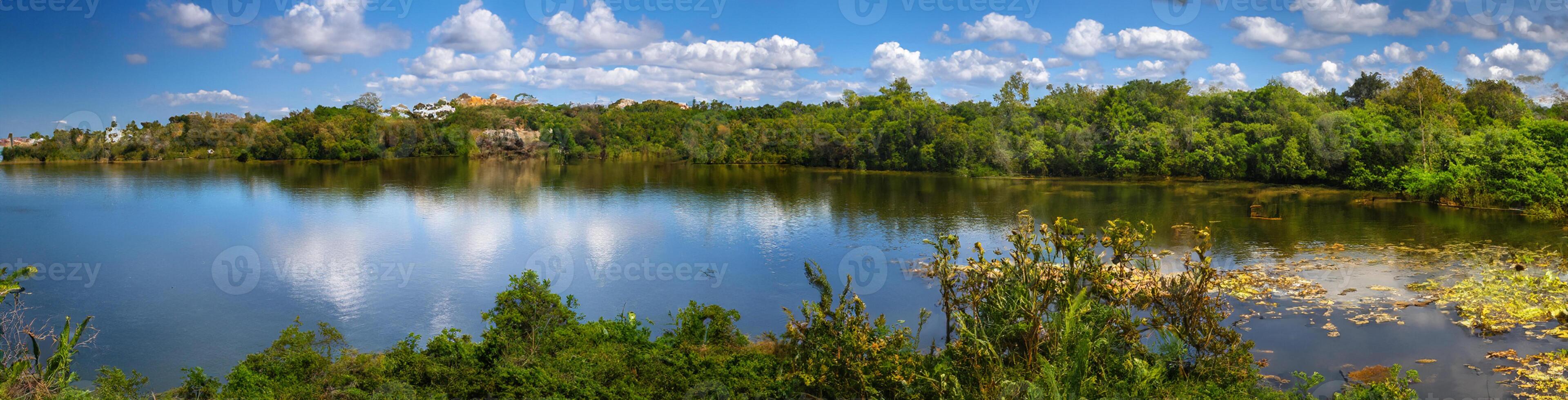 paesaggio di il amazon giungla, nel Lago sandovalo, tambopata, Perù foto