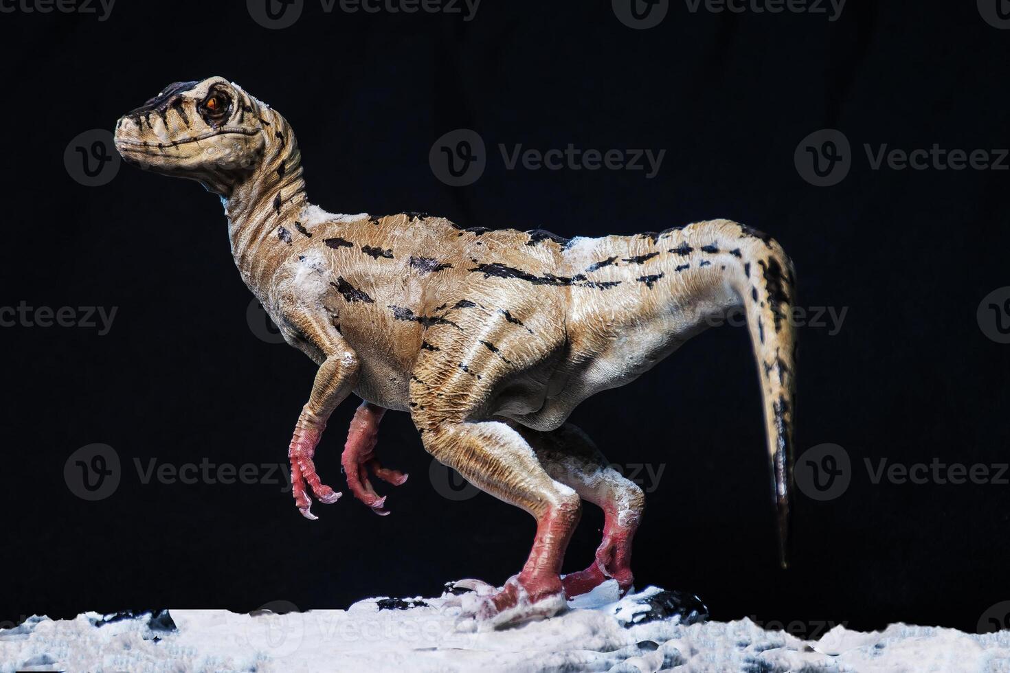 velociraptor dinosauro nel il buio foto