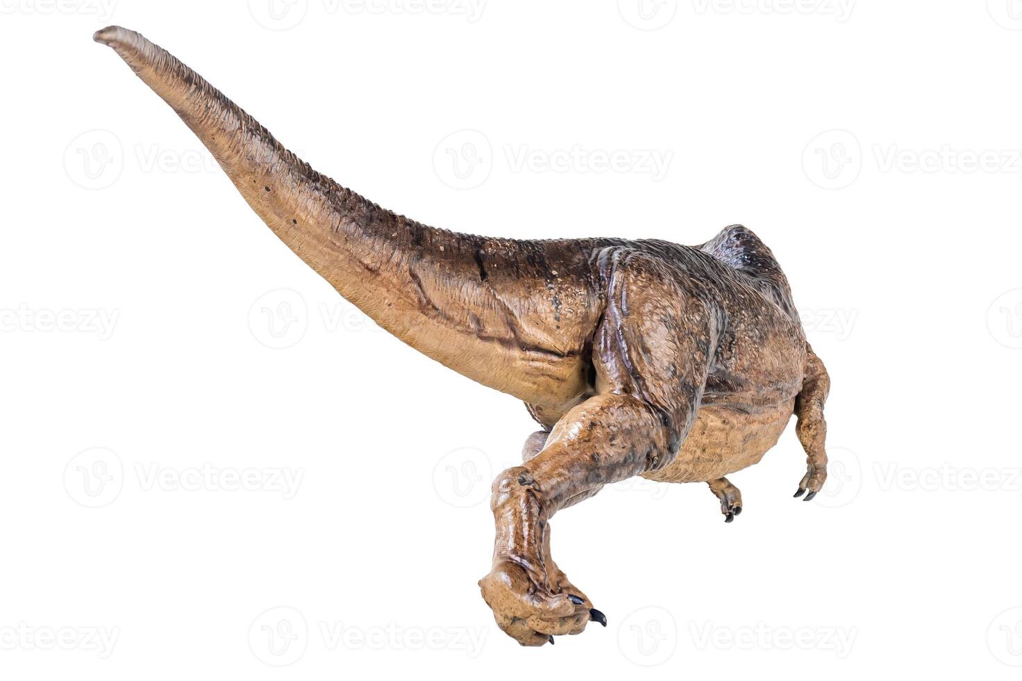 trex tirannosauro dinosauro su isolato sfondo foto