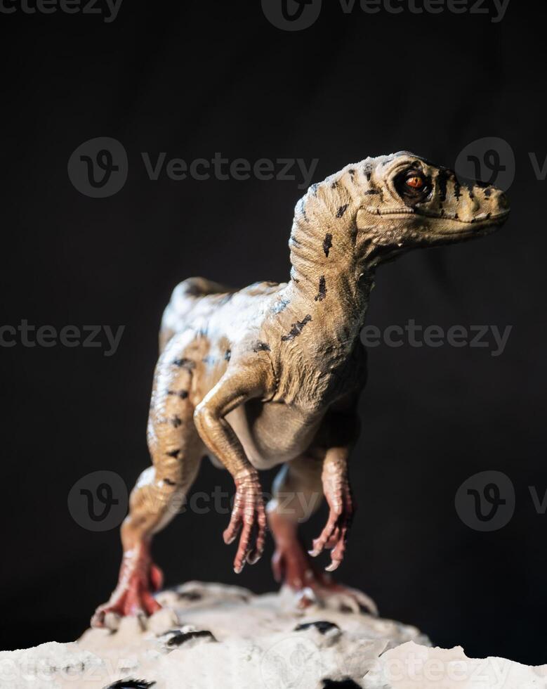 velociraptor dinosauro nel il buio foto