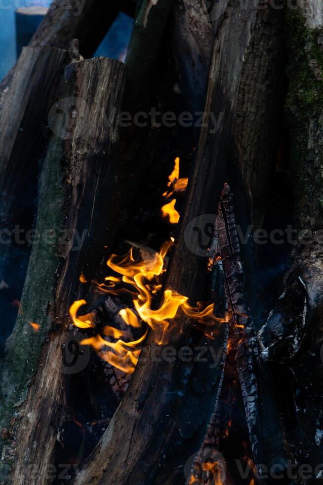 bellissimo fuoco fiamme su un' fuoco di bivacco foto