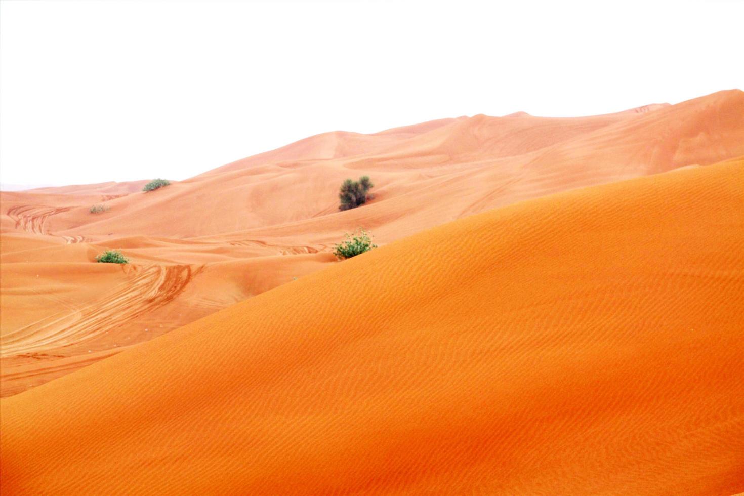 paesaggio di deserti e dune di sabbia foto