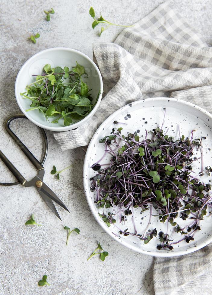 assortimento di micro verdure su tavola di legno foto