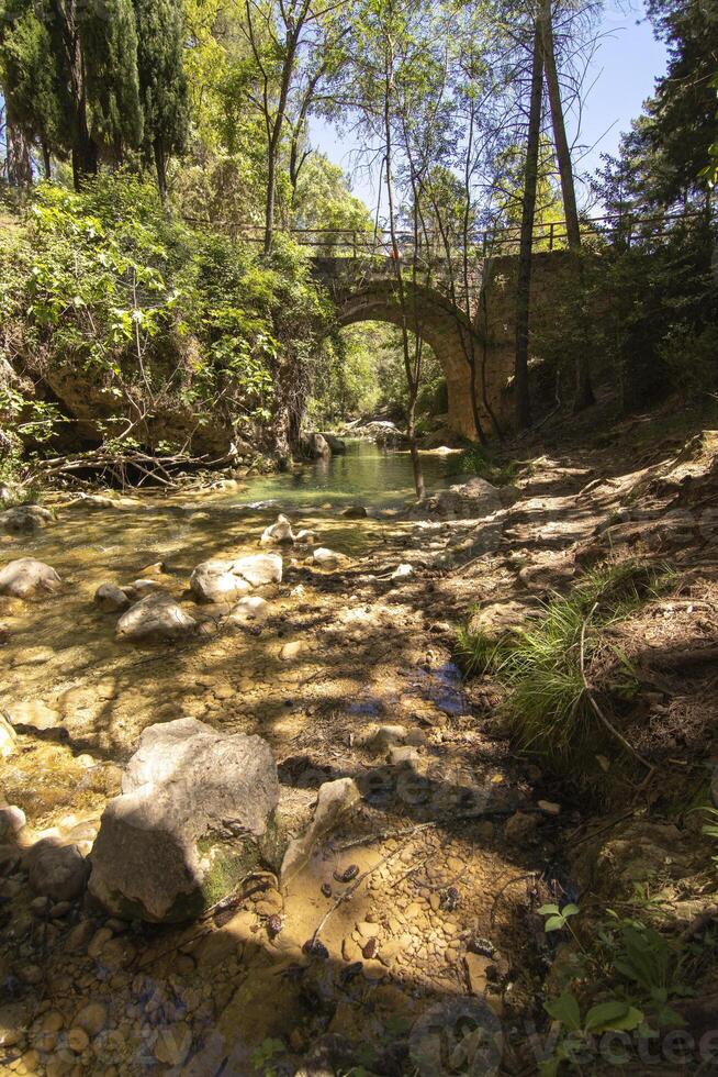 paesaggi e sentieri di il bellissimo natura di il sierra de cazorla, jaen, Spagna. natura vacanza concetto. foto