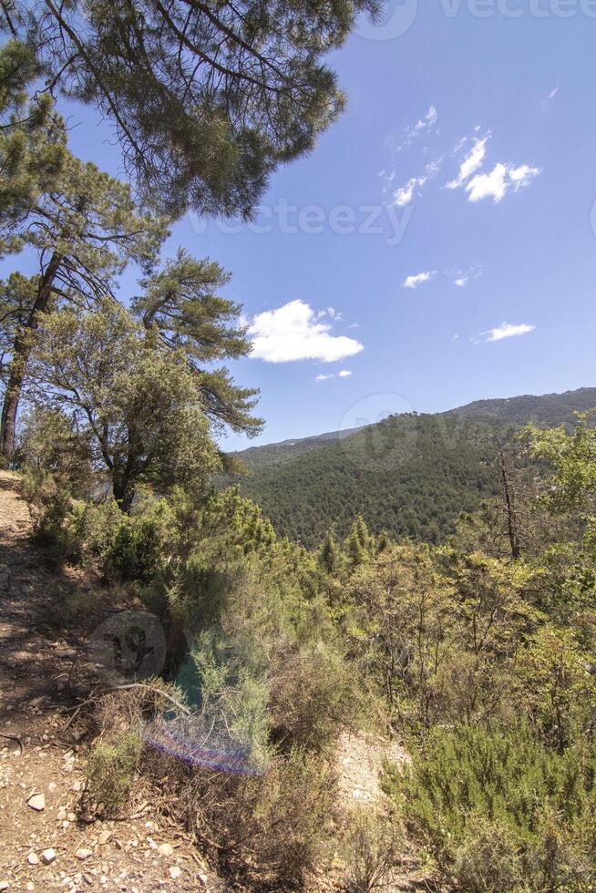 paesaggi e sentieri di il bellissimo natura di il sierra de cazorla, jaen, Spagna. natura vacanza concetto. foto