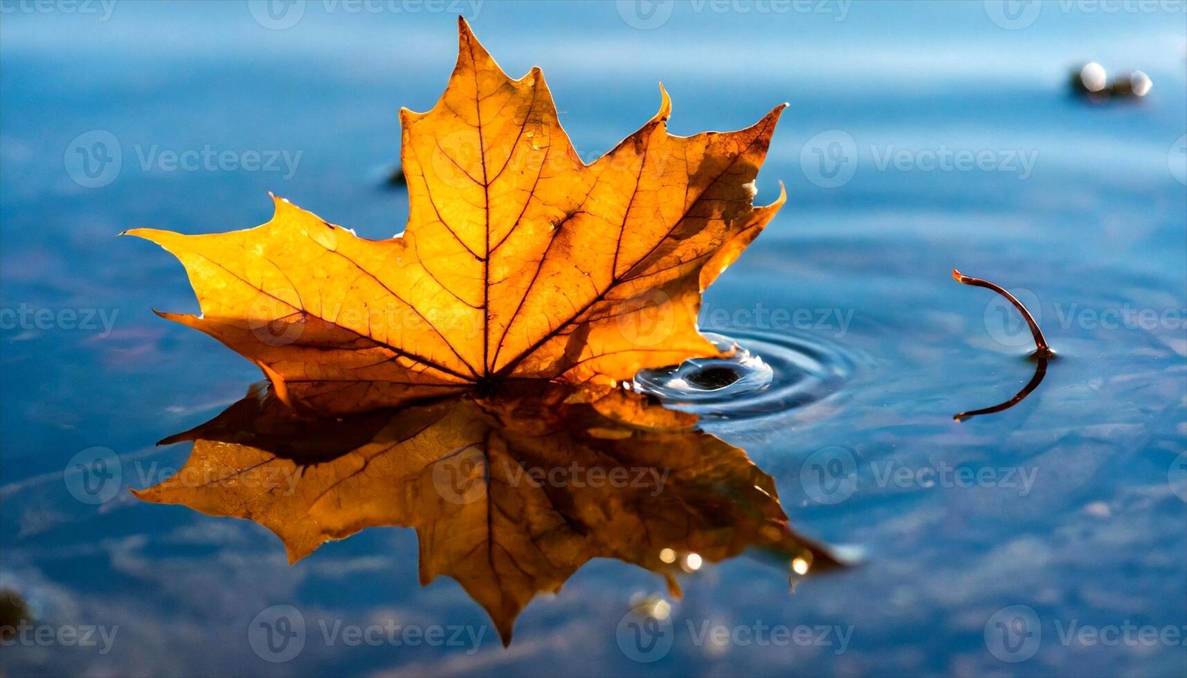 ai generato un' singolo foglia galleggiante nel acqua con increspature foto