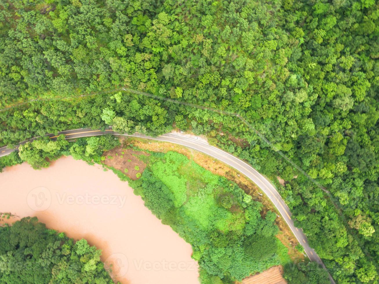 veduta aerea della bellissima foresta tropicale, ripresa dal drone foto