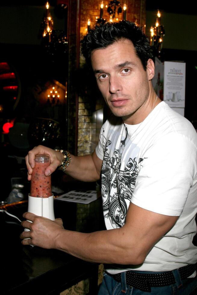 antonio sabato jr. GB mtv film premi regalare suite cremisi musica lirica los angeles, circa Maggio 31, 2008 foto