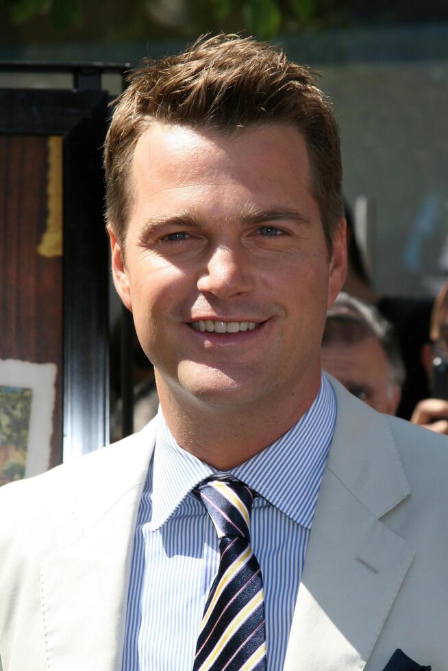 Chris o'Donnell in arrivo a il prima di kit kittredge a il boschetto nel los angeles, circa giugno 14, 2008 foto