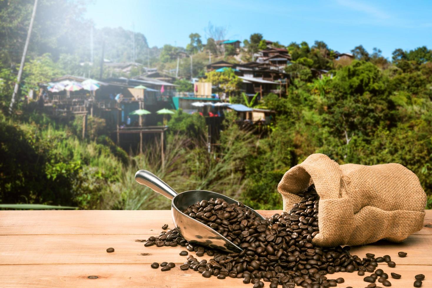 chicchi di caffè tostati in un sacchetto di carta e cucchiaino da caffè su una montagna di sfondo foto