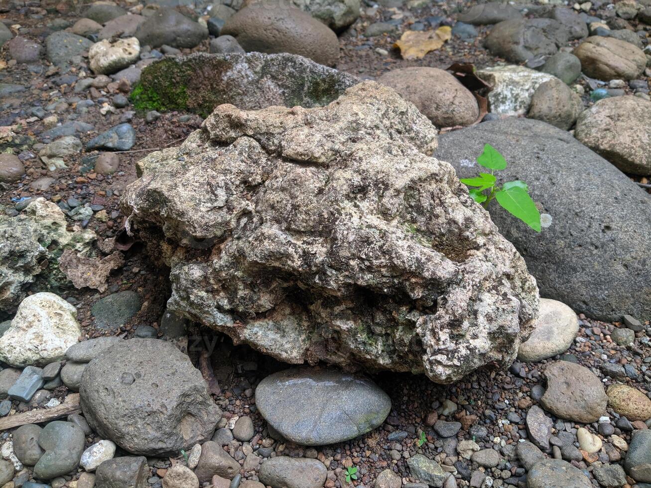 vicino su Visualizza e sfondo di strano modelli di rocce nel un' montagnoso la zona prese durante sci di fondo viaggio nel sulawesi, Indonesia. foto