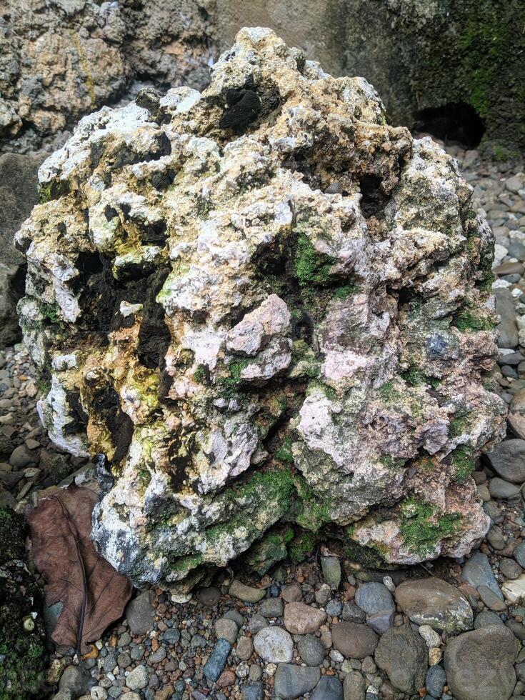 vicino su Visualizza e sfondo di strano modelli di rocce nel un' montagnoso la zona prese durante sci di fondo viaggio nel sulawesi, Indonesia. foto