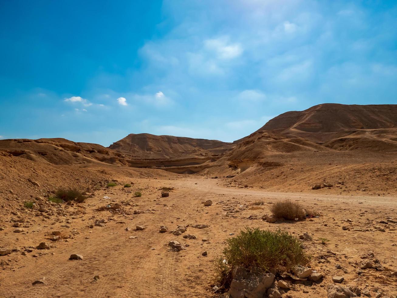 paesaggio del deserto foto