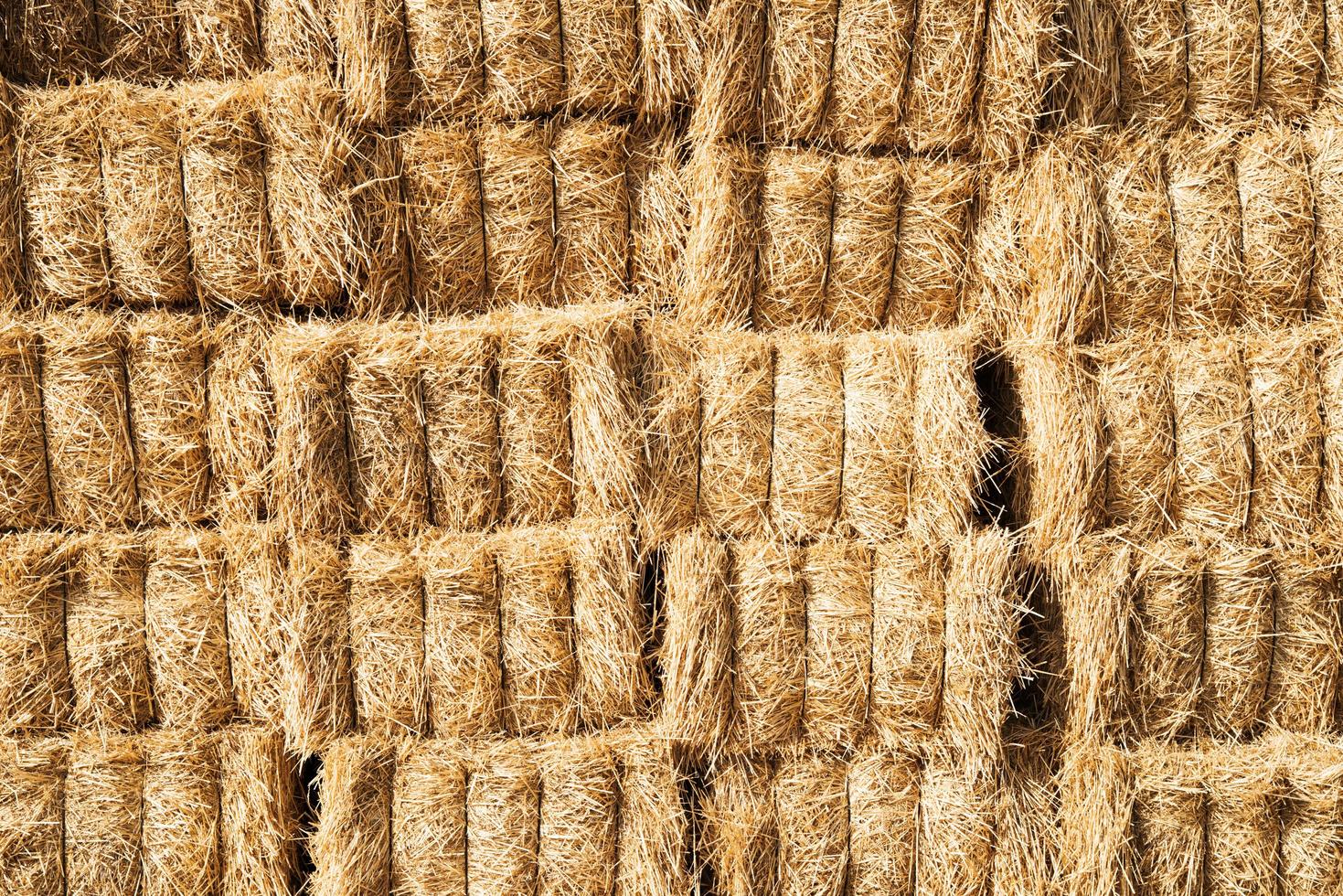 motivo con paglia di grano da asciugare foto