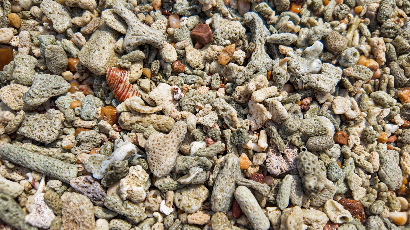 corallo mosaico, tropicale spiaggia textures vicino su foto