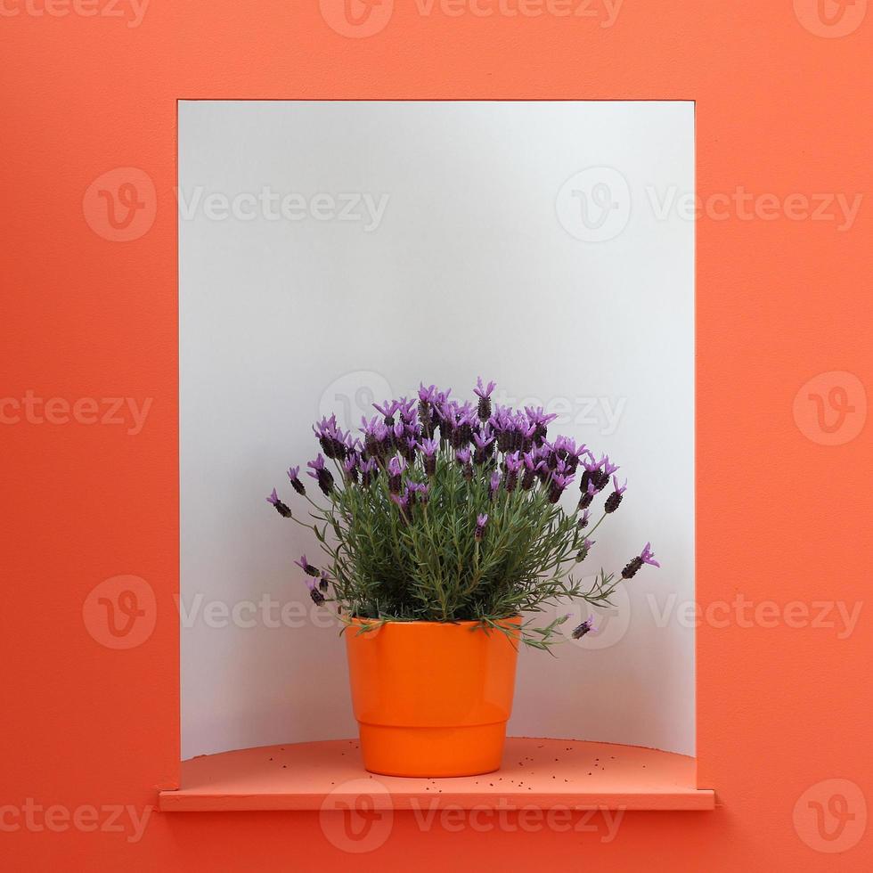 fiore decorativo viola in vaso arancione foto