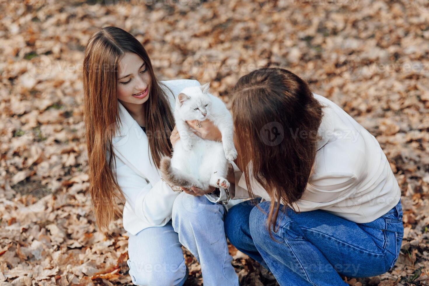 Due adolescenziale sorelle. autunno nel natura. essi sedersi su asciutto le foglie di alberi. essi comunicare con ogni altro mentre Tenere un' animale domestico. lei è avendo un' cuore a cuore conversazione. migliore gli amici. privacy. foto