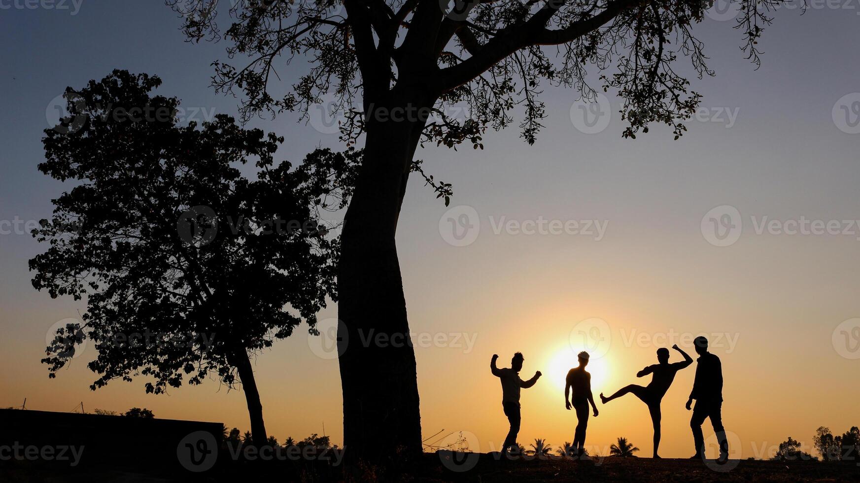 silhouette di amici in posa diversamente nel il bellissimo sera foto