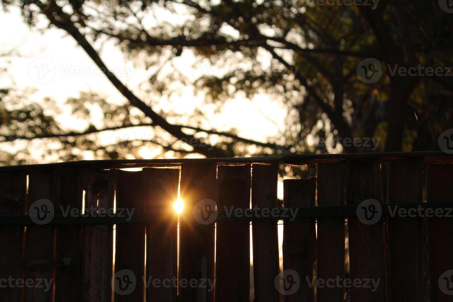 un' beato tramonto attraverso di legno foto