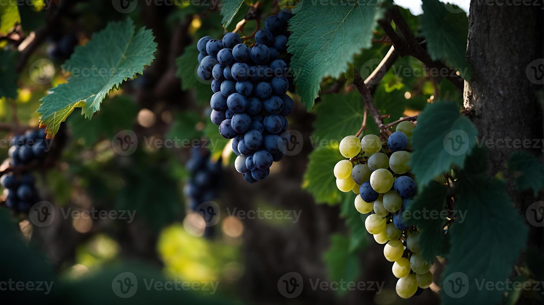 ai generato un' molto vicino Visualizza di uva su un' simpatico uva albero foto