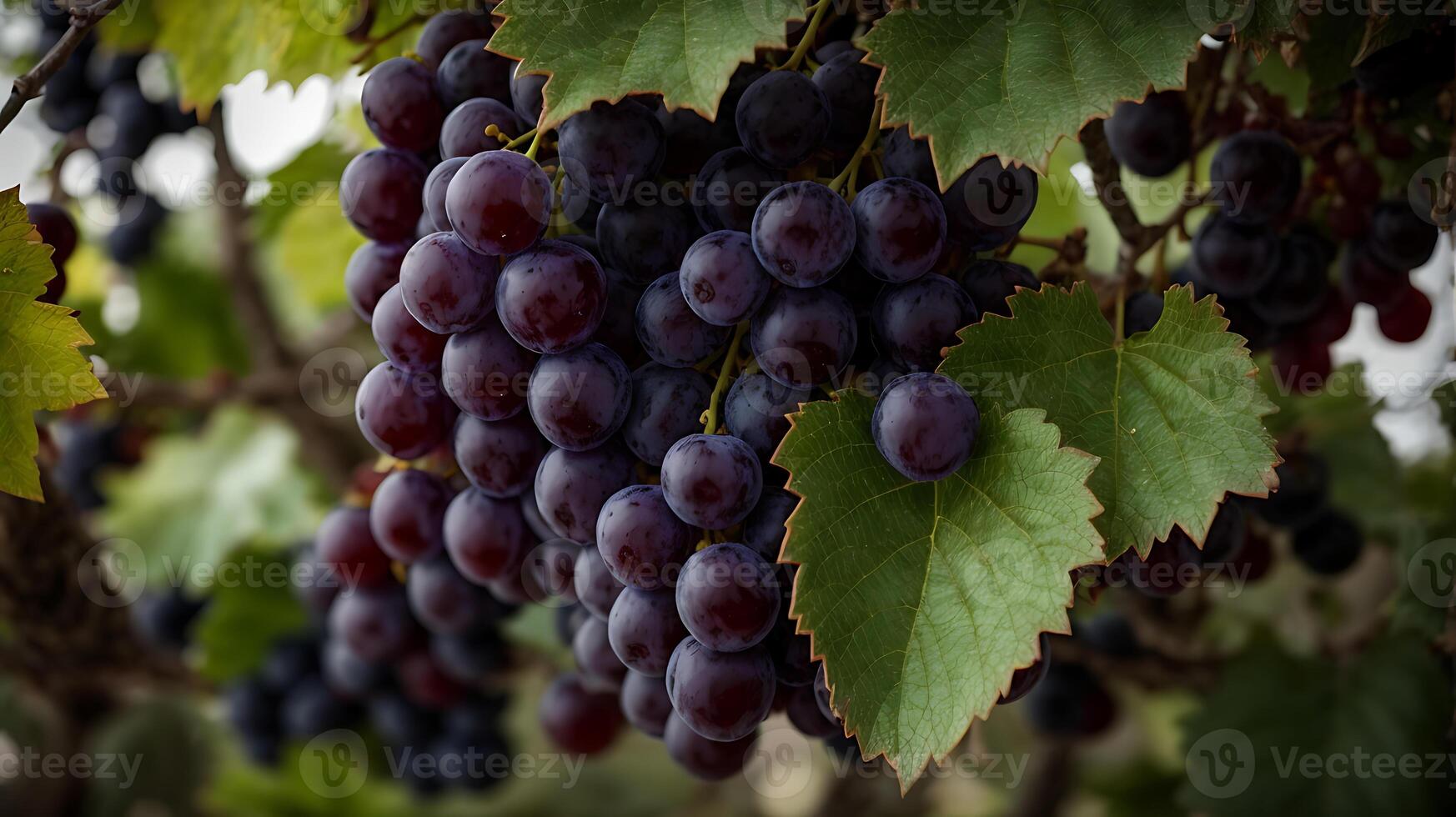 ai generato un' molto vicino Visualizza di uva su un' simpatico uva albero foto