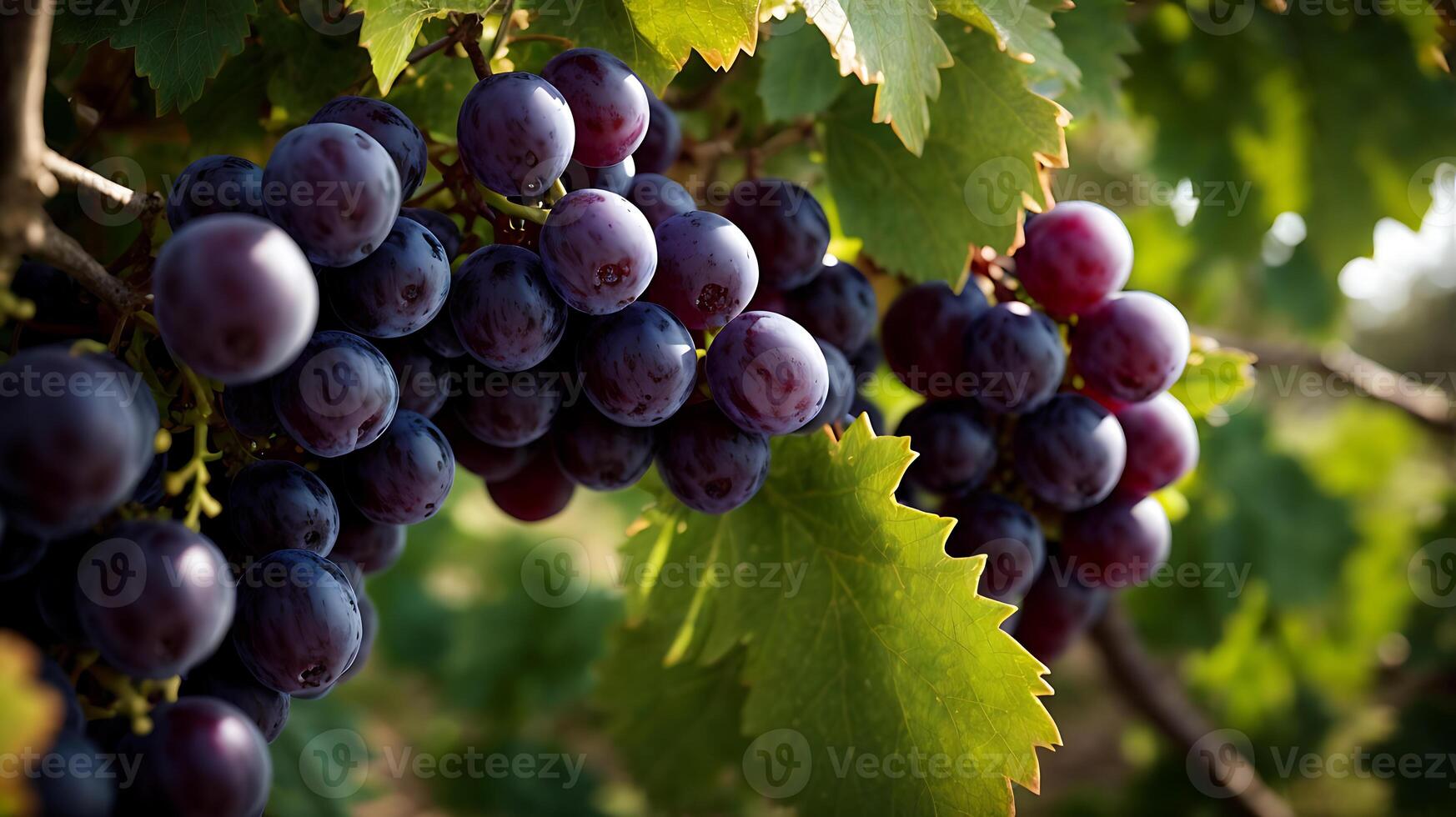 ai generato un' molto vicino Visualizza di uva su un' simpatico uva albero foto