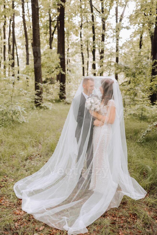 nozze. amore e coppia nel giardino per nozze. celebrazione di cerimonia e impegno. Salva il Data. fiducia. il sposa e sposo abbraccio. il sposo abbraccia il sposa sotto il velo. foto