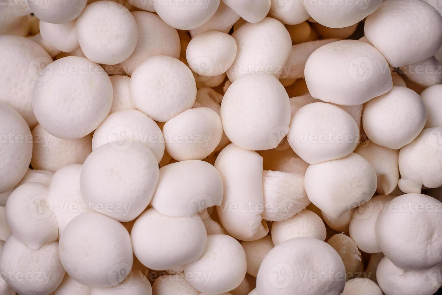 piccolo bianca commestibile faggio funghi con sale e spezie su un' pianura sfondo foto