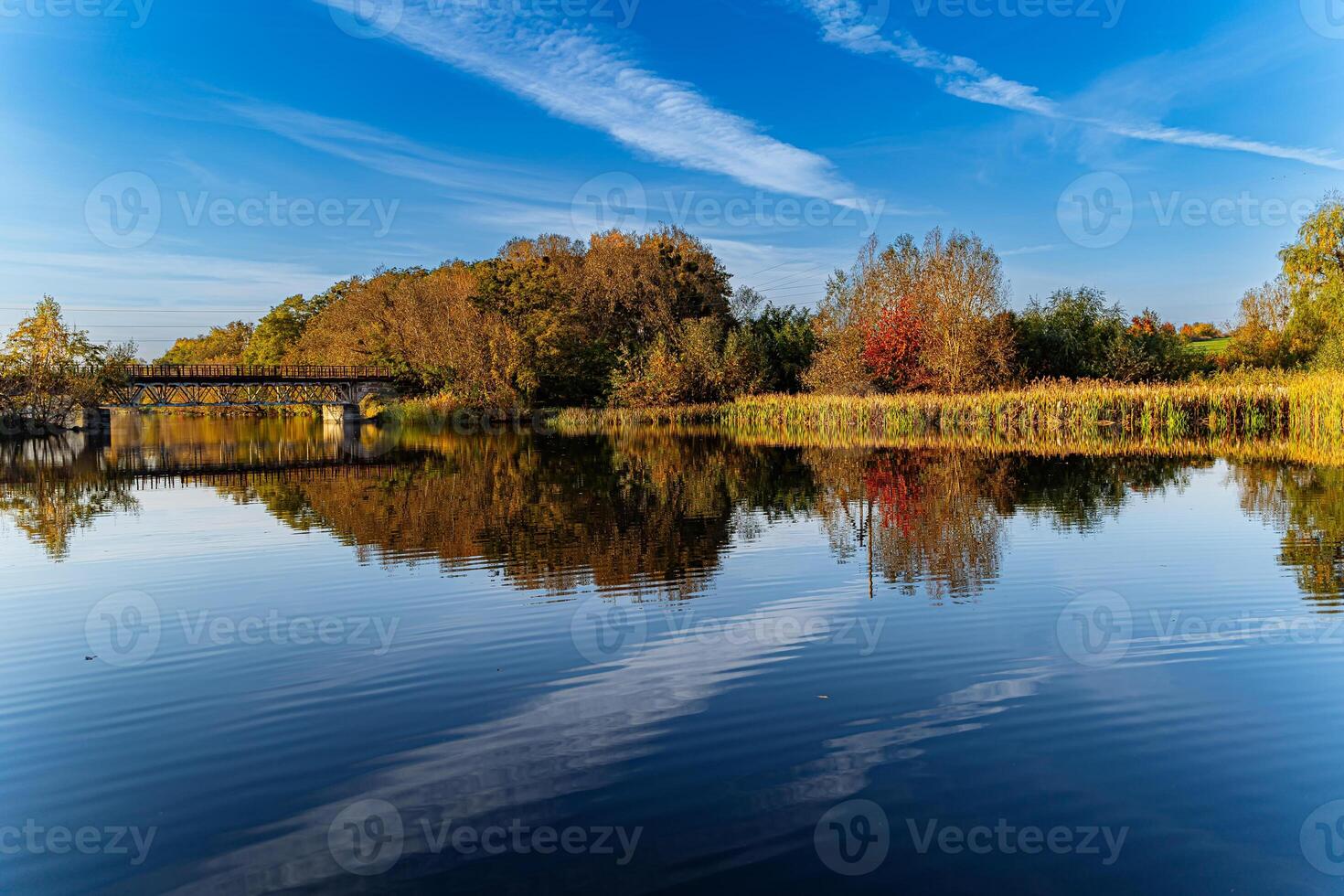 un' tranquillo lago riflettendo un' baldacchino di alberi e un' sereno ponte. un' corpo di acqua circondato di alberi e un' ponte foto