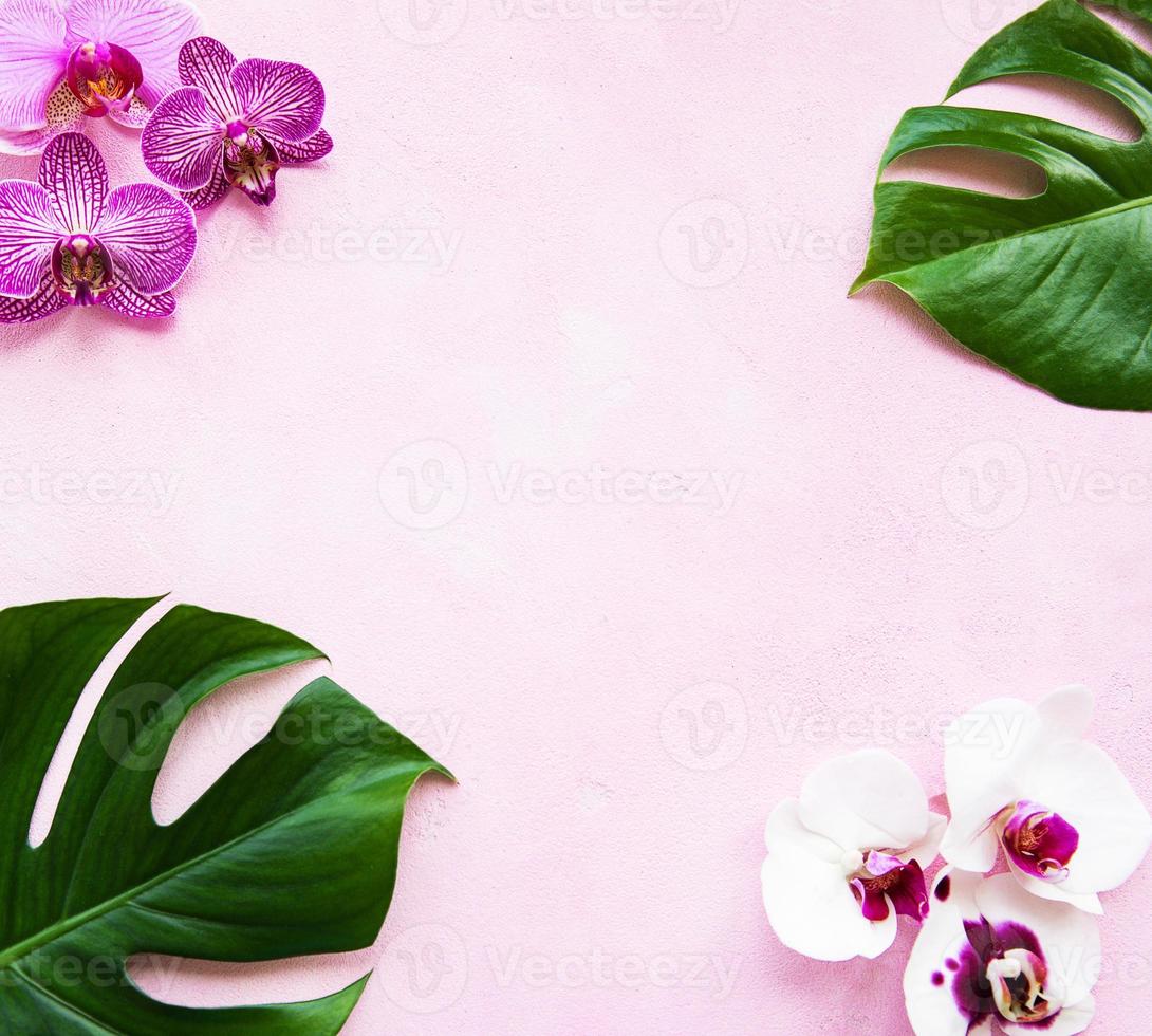 foglie tropicali monstera e fiori di orchidea foto