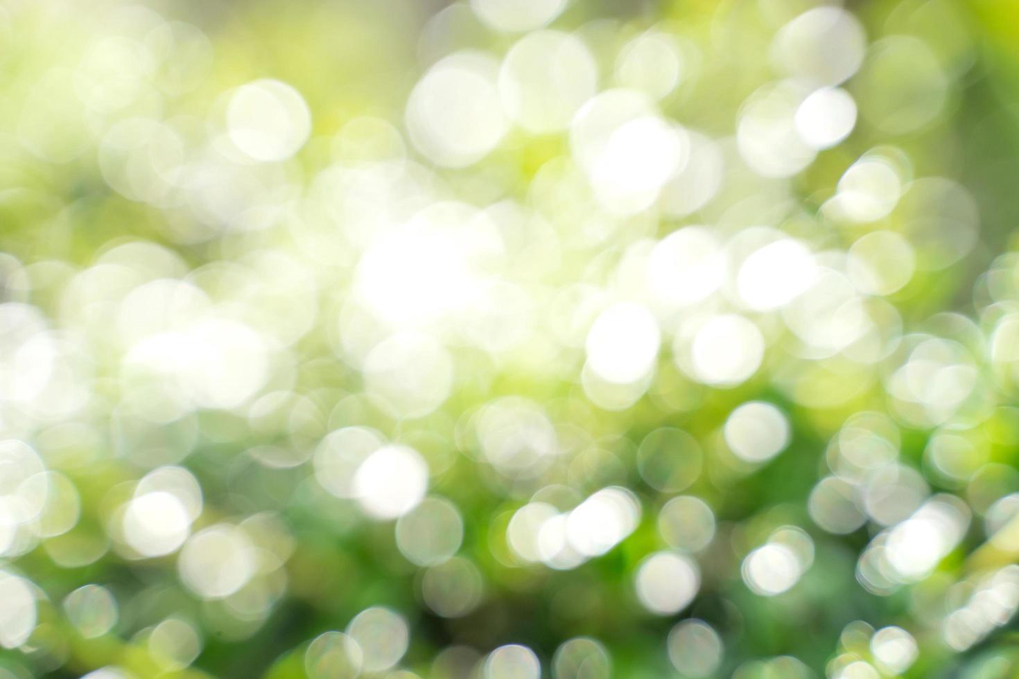 foglia bokeh con luce solare, utilizzare per lo sfondo. foto