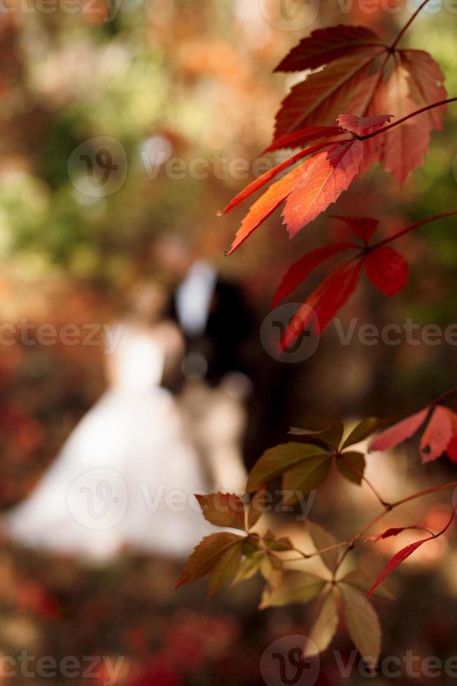 passeggiata degli sposi nel bosco autunnale foto