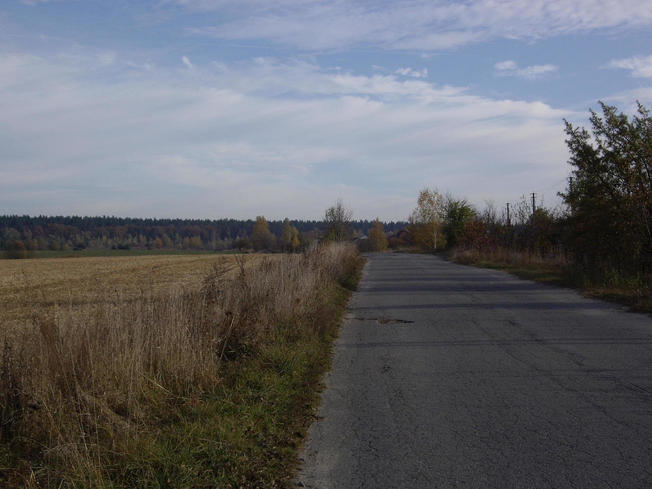 panorama di un campo di tardo autunno foto